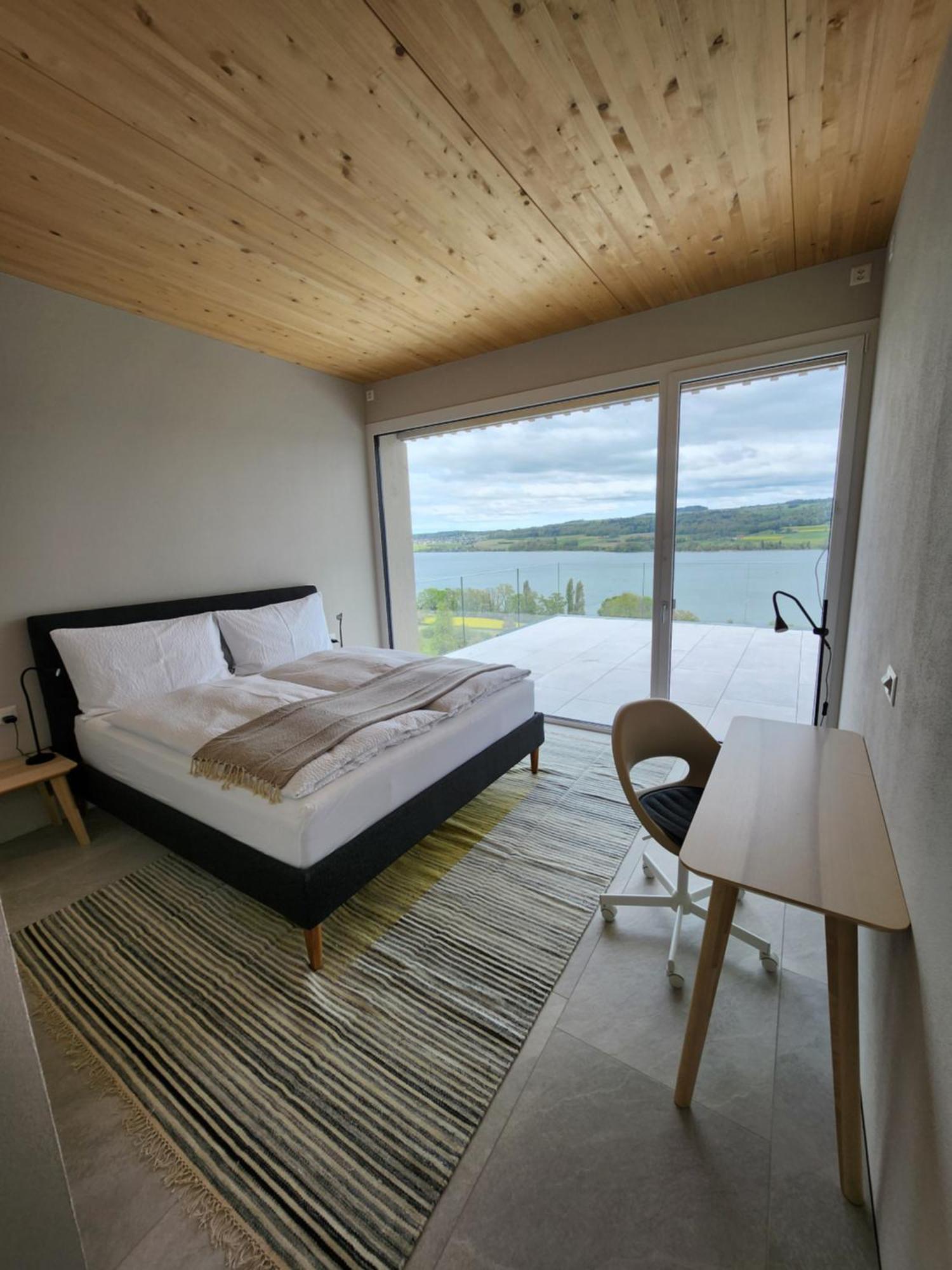 Lakeview Guest Rooms With Huge Rooftop Terrace Beinwil Luaran gambar
